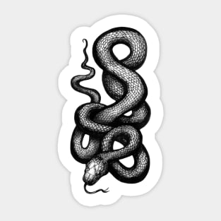 Snake Sticker